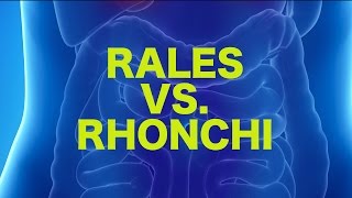 Rales vs Rhonchi  USMLE [upl. by Ardnaik132]