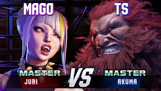 SF6 ▰ MAGO Juri vs TS Akuma ▰ High Level Gameplay [upl. by Hamo]