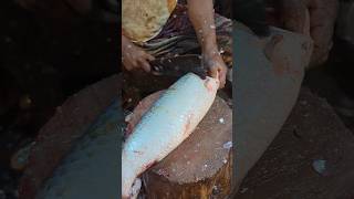 Amazing Big Mrigel Fish Cutting Skills Live In Fish Market  shorts [upl. by Odranoel]