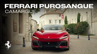 The Ferrari Purosangue  an experience unlike any other [upl. by Goldin]