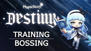 MapleStory Ice Lightning Mage Bossing amp Training Guide [upl. by Siberson]