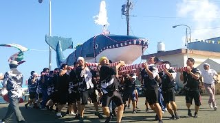 Japanese Whale Festival  Osatsu Tenno Kujira Matsuri 相差天王くじら祭り [upl. by Aerdnaeel]