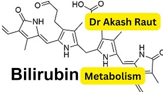 Bilirubin Metabolism Degradation of HemeBasic Science MBBS Biochemistry LecturesDr Akash Raut [upl. by Jestude344]