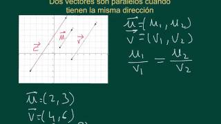 NSC Vivero Vectores equivalentes y paralelos [upl. by Toll286]