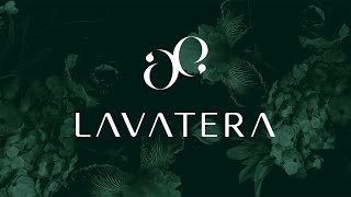 LAVATERA [upl. by Lertsek]