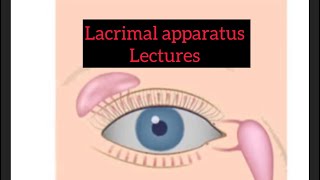 Lacrimal apparatus lectures part 1 Eye lectures eye jatoi lacrimalgland eyelectures [upl. by Wallinga693]