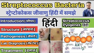 Streptococcus Pyogenes Bacteria  Streptococcus bacteria microbiology  Streptococcus bacteria notes [upl. by Ttcos]