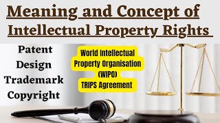 Meaning and Concept of Intellectual Property Rights  BALLB  LLB  Explained in Nepali [upl. by Atinar]