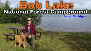 Bob Lake Michigan National Forest Campground Overview [upl. by Eniamirt963]