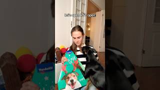 Advent calendar part 2🥸 Opening 2 windows every day adventcalendar newyear dogadventcalendar [upl. by Dorena409]