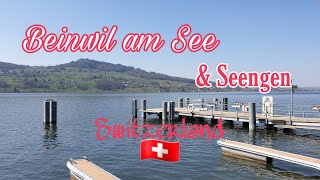 🏕Beinwil am See amp Seengen  Switzerland🇨🇭 [upl. by Atnoek]