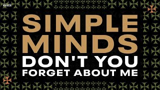 SIMPLE MINDS  Dont You Forget About Me  Live in Italy [upl. by Nebra]