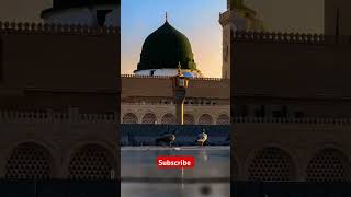 🇵🇰viralvideo love allahuakbarallahuakbarallahuakbar beautiful allahhuakhbar islamicstatus [upl. by Larrej]