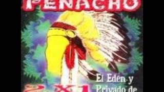 PENACHONO LLORES MUJER [upl. by Ahsinev]