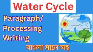 Water Cyclehydrological cycleparagraph writing water cycle process of water cycle [upl. by Cristoforo]