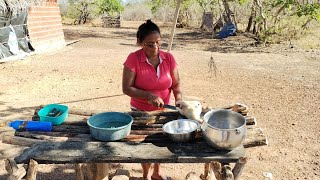 ALMOÇO NA ROÇA COM DONA ROSA PEIXE ASSADO NO CUPIM E GALINHA CAIPIRA  VIDEO II [upl. by Adniles]