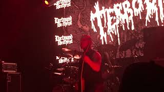 TERRORIZER  Infestation  LIVE  Dortmund Germany  2024 [upl. by Aihsemak687]