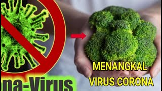 7 MAKANAN YANG MAMPU MENINGKATKAN IMUNITAS CORONAvirus COVID19 [upl. by Ennis852]