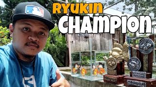 EP175 CHAMPION RYUKIN GOLDFISH NAKACHAMBA ULIT  BROADTAIL RYUKIN UPDATE [upl. by Aihsema]