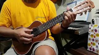 Acouway28 inch Guitar ukulele Guitalele Guitarlele Sapele body 6 Strings 18 Frets Classical Knob [upl. by Notniuq]