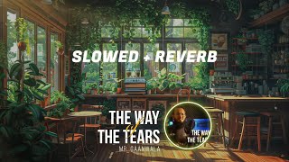 The Way of The Tears✨Slowed  Reverb 1 Hour Relaxing Nasheed l Mr Gaanwala  Nasheed For Sleep [upl. by Rape]