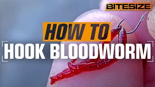 How To Hook Bloodworm Perfectly  Guru Bitesize 047 [upl. by Aicilec]