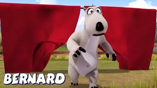 Bernard Bear  Bull ATTACK AND MORE  Cartoons for Children [upl. by Eedolem930]