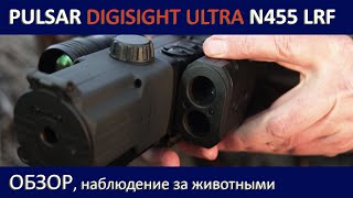 Pulsar Digisight Ultra N455 LRF Обзор наблюдение за животными [upl. by Casteel]