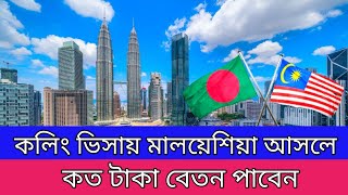 কলিং ভিসায় মালয়েশিয়া আসলে কত টাকা বেতন পাবেন  Malaysia Calling Visa  Basic Salary [upl. by Aldarcy]