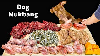 Best Dog MUKBANG PITBULL EATING RAW FOODS [upl. by Seroled]