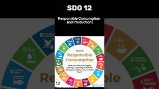 UN SDGs Global Goals sdg12 Ensure sustainable consumption and production patterns sustainability [upl. by Sudhir]