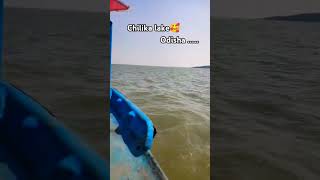 Chilika lake  odisha maa kalijai short shortvideo ytshort viralvideo [upl. by Meredeth]