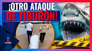 Turista belga muere tras el ataque de un tiburón en Zihuatanejo  Noticias con Francisco Zea [upl. by Marilla]