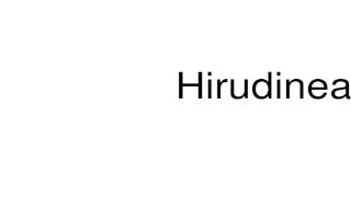 How to pronounce Hirudinea [upl. by Lrigybab]