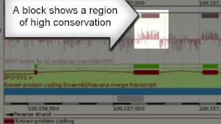 Clip View Conserved Sequence [upl. by Nev567]