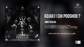 Amir Tataloo  Kojaei  Chi Pooshidi    امیر تتلو  کجایی  چی پوشیدی؟  AmirDva [upl. by Eibbil]