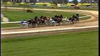 Harness racing at Traralgon [upl. by Oileduab]