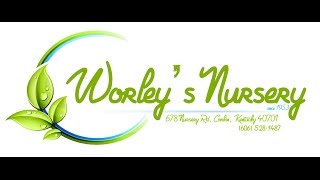 Worleys Nursery [upl. by Ymer423]