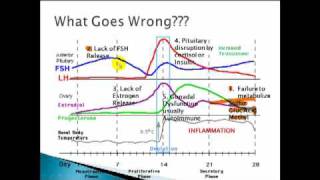 Female Hormones The Normal Cycle [upl. by Previdi]