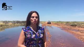 Growing the Territory  Tanami Road [upl. by Susy]