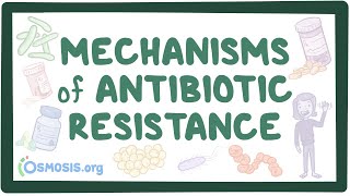 Mechanisms of antibiotic resistance [upl. by Savil]