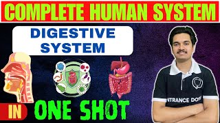 DIGESTIVE SYSTEM Complete in 1 Shot For CEE  Class 12  Physiology of Digestion 🔥In Details [upl. by Zacherie]