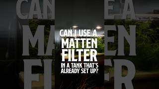 Can I use a Matten Filter in a tank thats already setup  Matten Filters [upl. by Jenni41]