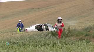 Agrotec Petronas Syntium Rally Hustopeče 2017  93  Denis Novák  Daniela Smolová [upl. by Collete]