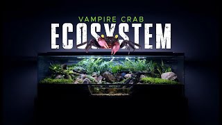 🦀 BUILDING A HUGE VAMPIRE CRAB ECOSYSTEM PALUDARIUM STEP BY STEP [upl. by Ekim]