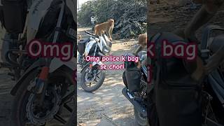 Police k bag se chori viralvideo mankey funny viralshorts viralreels funniestvideo [upl. by Annovahs94]