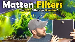 Why Most BREEDERS Choose this FILTER for their AQUARIUM  Matten Filters [upl. by Aicrag]