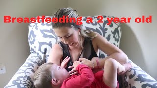 2 year breastfeeding update [upl. by Constantine979]