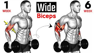 14 BEST Exercises for WIDER BICEPS [upl. by Mimajneb]