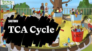 Learn the TCA Cycle  Sketchy MCAT [upl. by Molloy349]